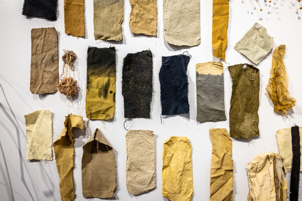 MFA interdisciplinary student Rebecca Pipkin displays some of her dye samples