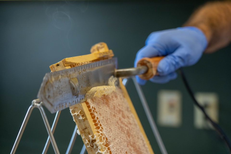 Man slicing capping off beehive frame