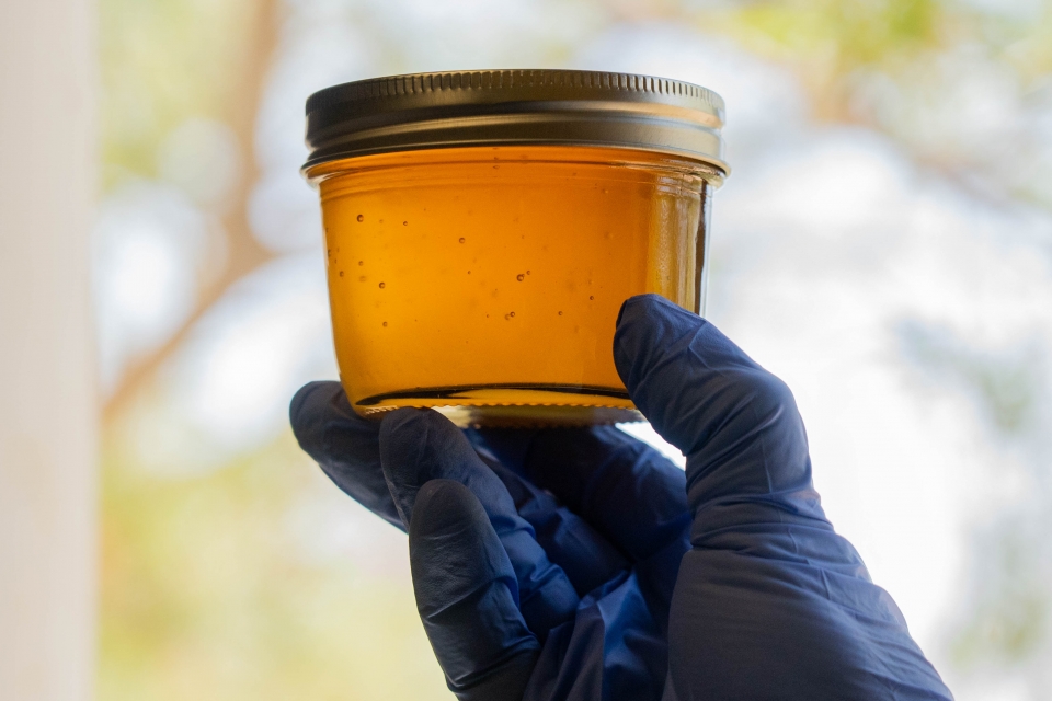 Hand holding jar of honey