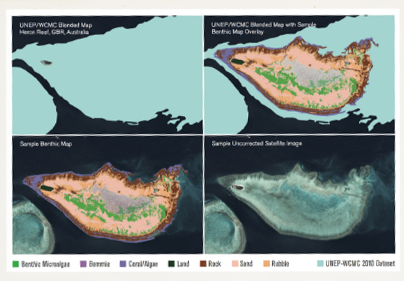 satellite model of coral reefs