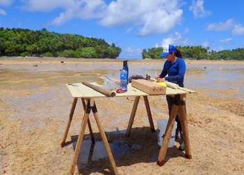 woman working on makeshift table on beach