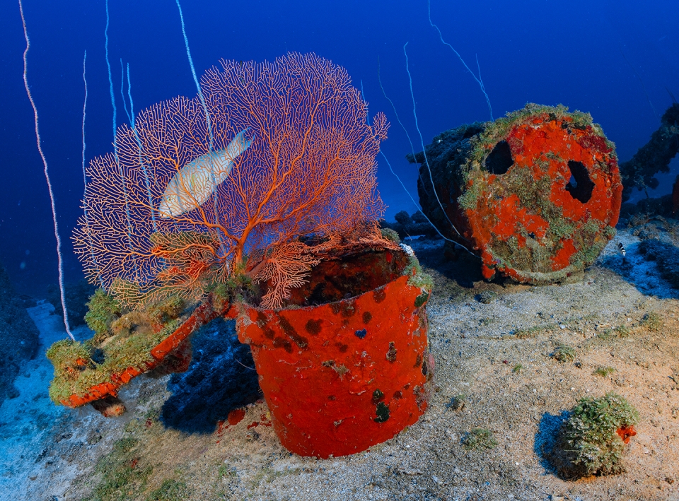 Decaying depth charges on the deck of the USS Lamson (destroyer), Bikini Atoll