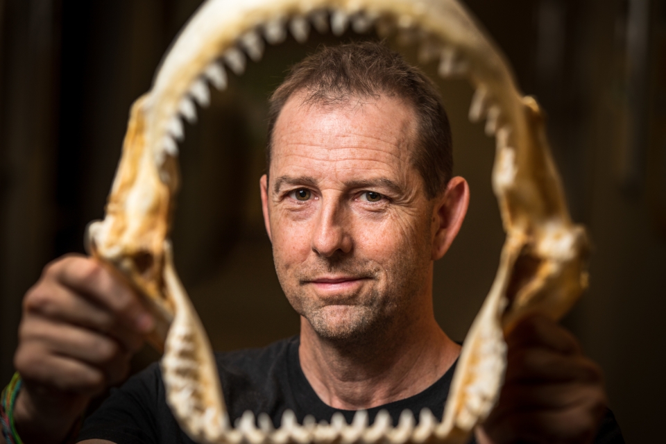 headshot of ASU Professor James Sulikowski framed by a shark jaw