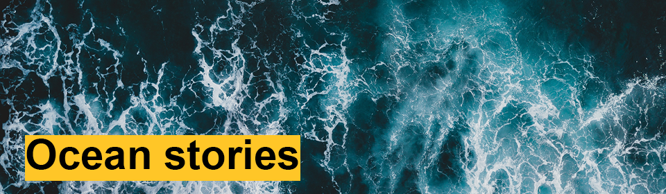 Subhead: "Ocean stories."