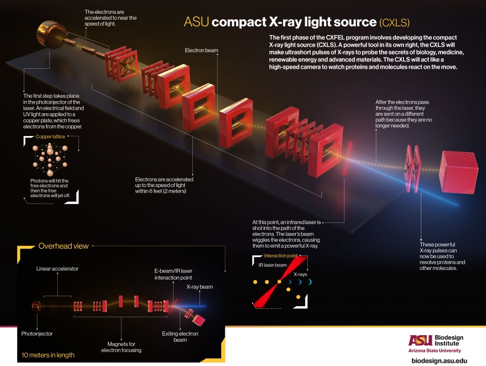 Infographic explaining first phase of ASU's CXFEL program