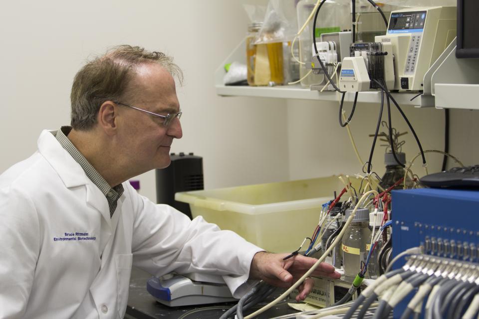 Bruce Rittmann in the lab Biodesign Institute phosphorus