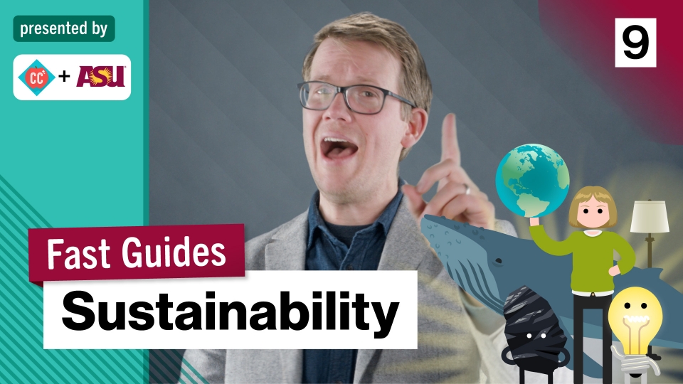 Hank Green is shown in a video still with the words Fast Guide: Sustainability across the bottom