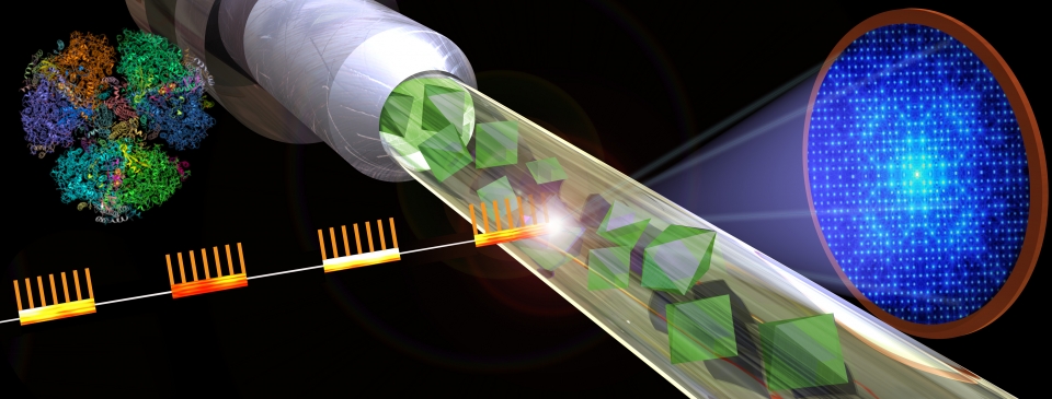 Graphic shows the basic design of a serial femtosecond crystallography experiment. X-ray bursts strike a jet of crystallized samples resulting in diffraction patterns that can be reassembled into detailed images.