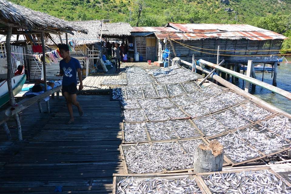Man on a dock full of fish.