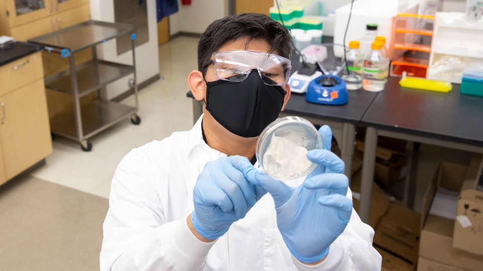 Margarito Hernandez Fuentes works in the lab. 