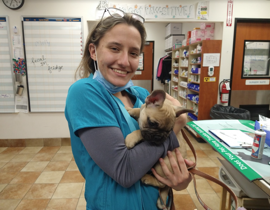 ASU student Jennifer Kobs wearing scrubs and holding a puppy while smiling at a veterinary clinic.
