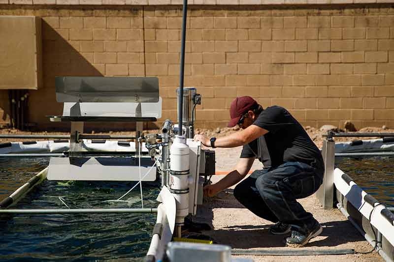 ASU researcher Everett Eustance adjusts the algae pools at the Polytechnic Campus