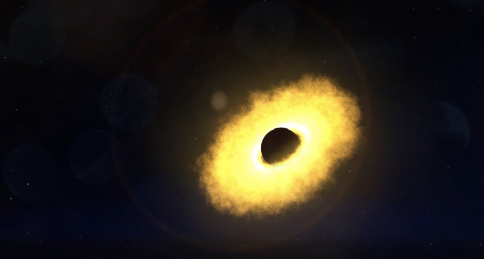 A star is shredded by a black hole