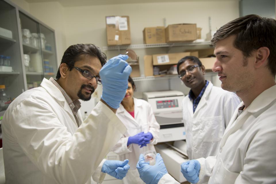 professor and students in lab