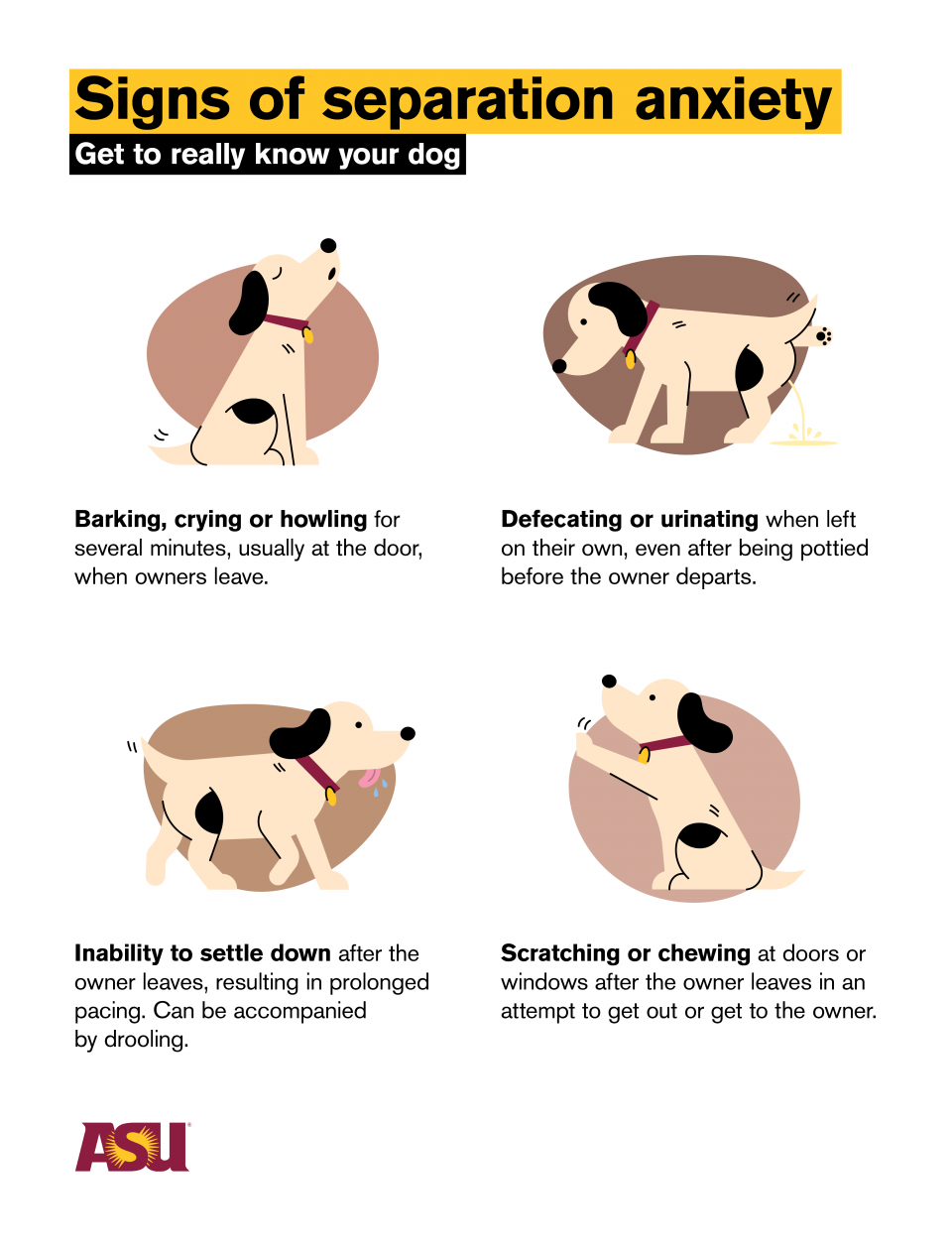 infographic with tips on how to tell if your dog has separation anxiety
