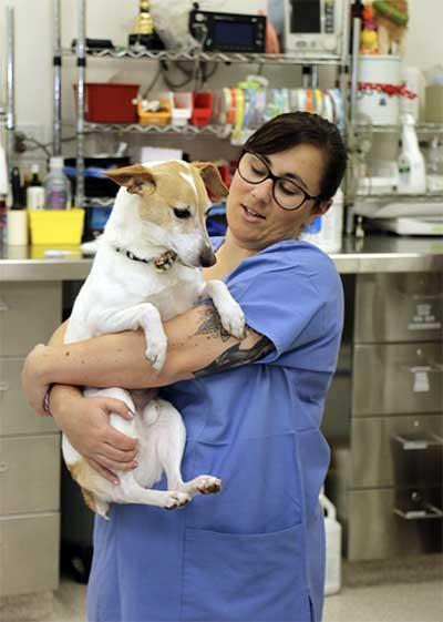 A woman holds a dog in a lab