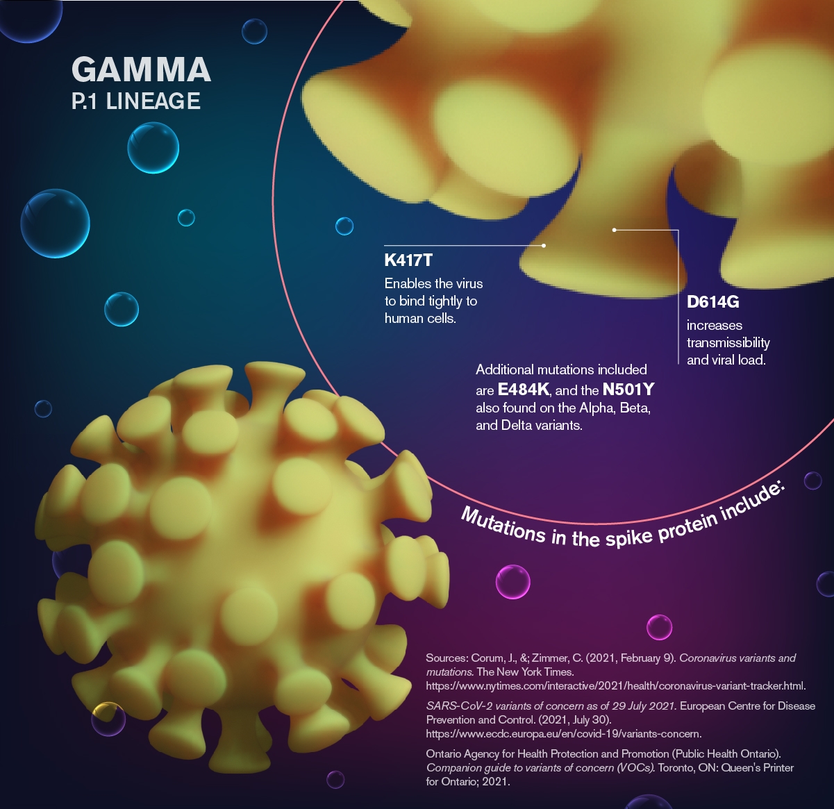 SARS CoV 2 A theme and variations ASU News