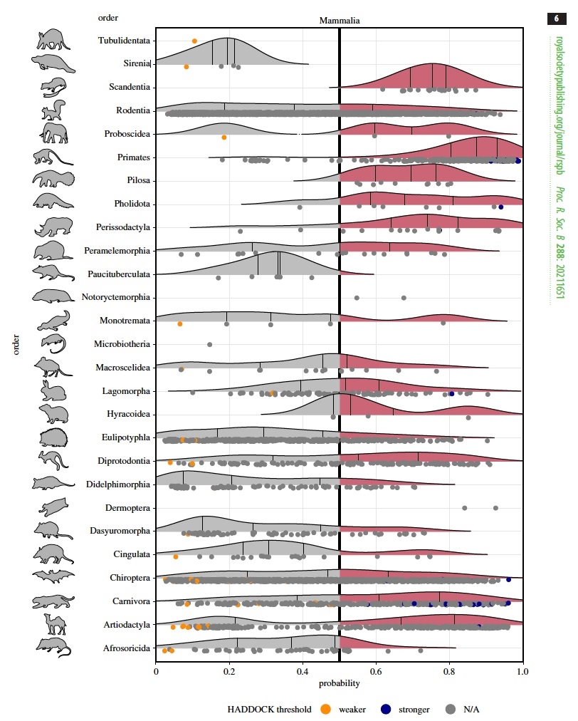 Ridgeline graphics showing the distribution of predicted zoonotic capacity across mammals.