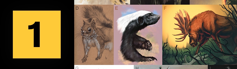 Illustrated images of a squirrel, skunk and moose.