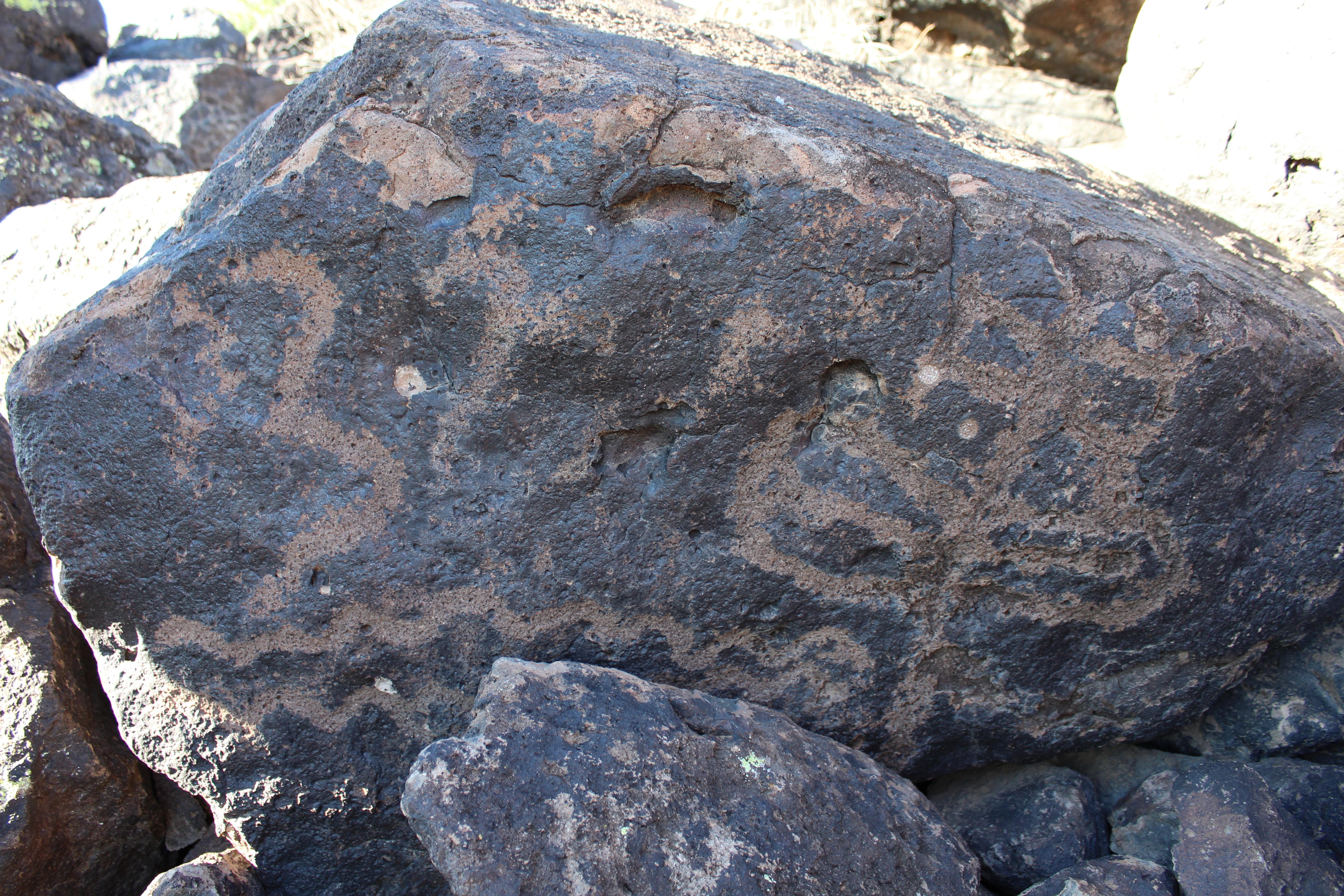 photo of the petroglyph in question
