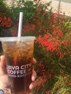 ASU works to boost paper straw use, reduce single-use plastics