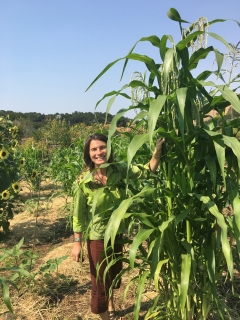 Woman in corn field