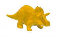 An image of the triceratops dinosaur