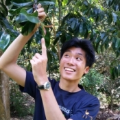 Photo of man with short black hair pointing at tree