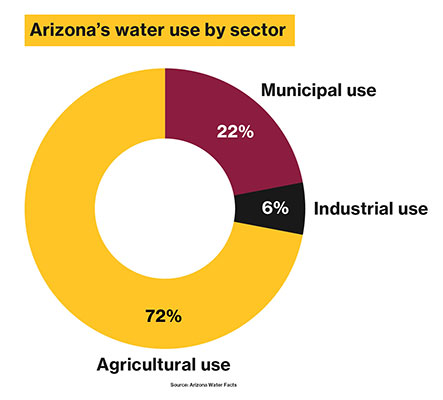 Graphic of a pie chart showing Arizona's water use by sector.
