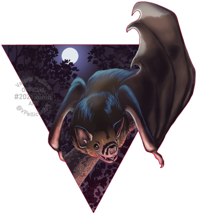 White winged vampire bat artwork by Valeria Pellicer