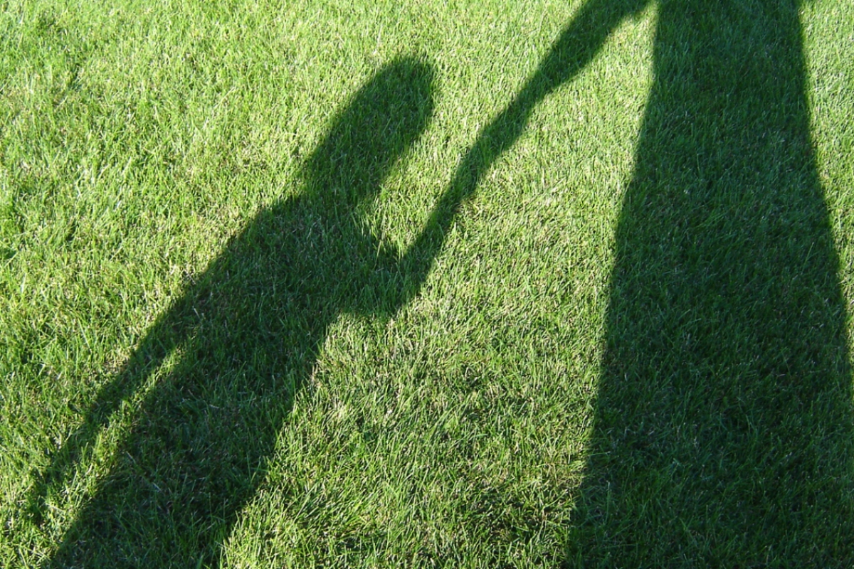 Shadows stalking some grass.