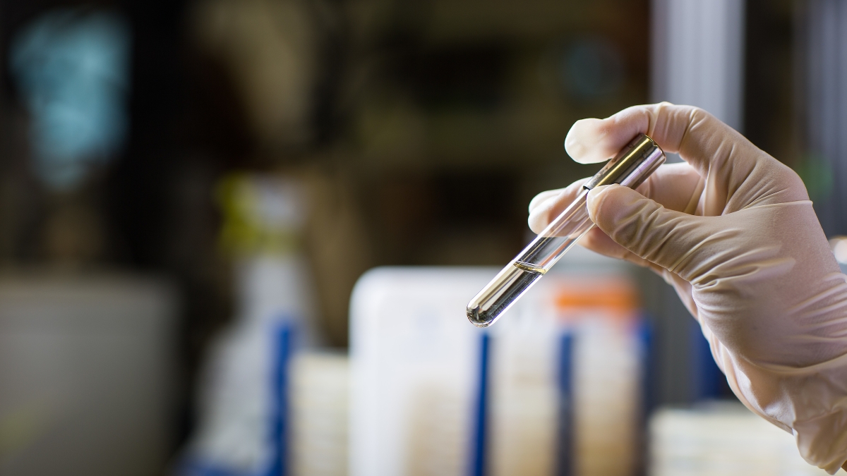 A gloved hand holds a test tube with liquid in it in a lab