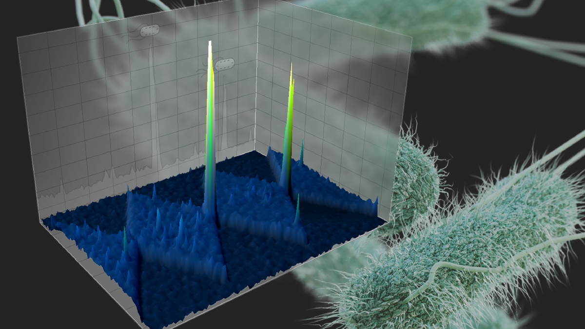 E. coli and bacteria populations isolated on a microdevice