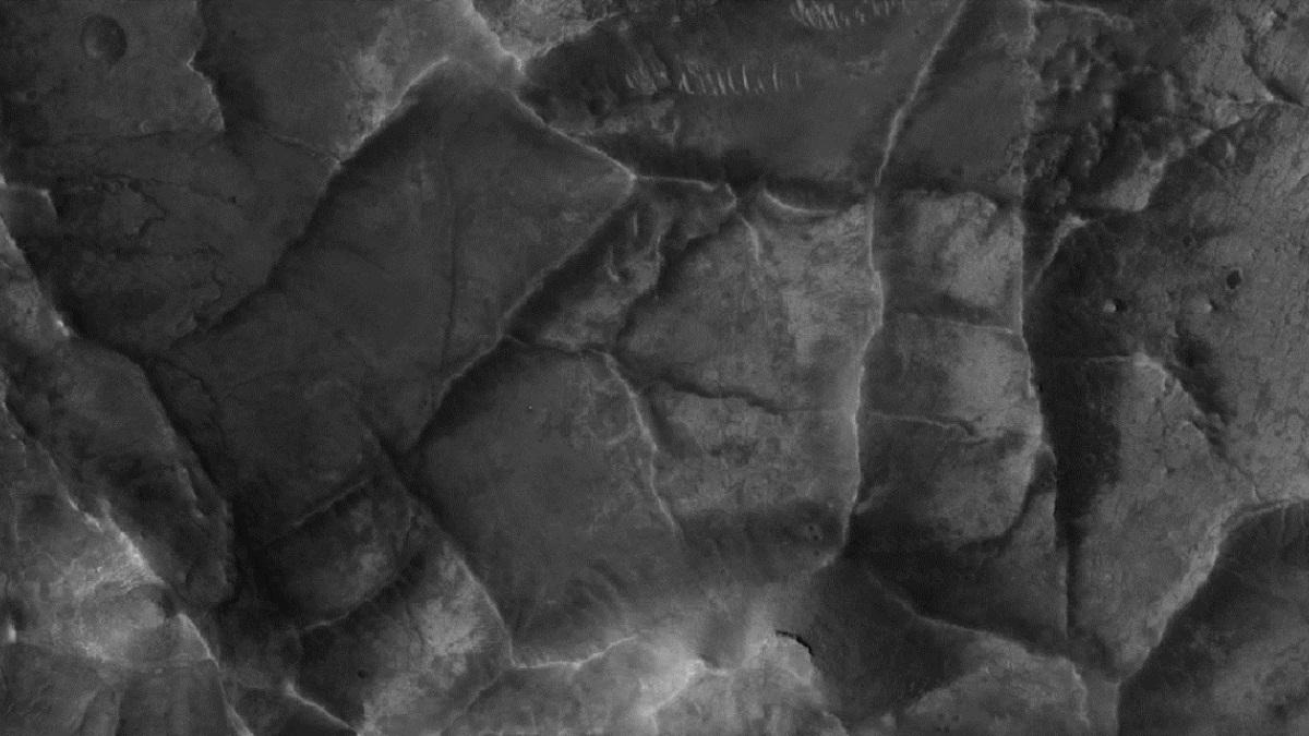 Close-up image of unusual ridge networks on the surface of Mars.