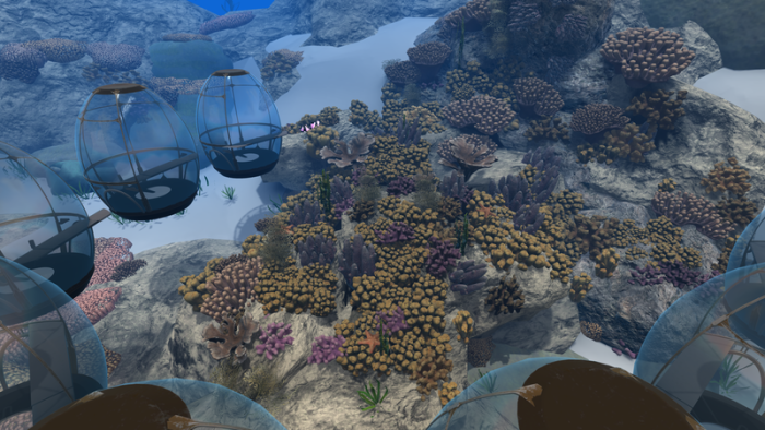 underwater scene of a coral reef