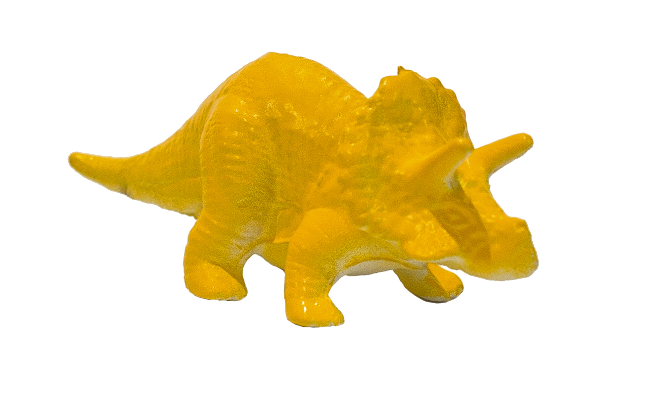 An image of the triceratops dinosaur